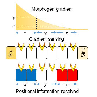 systems_biology